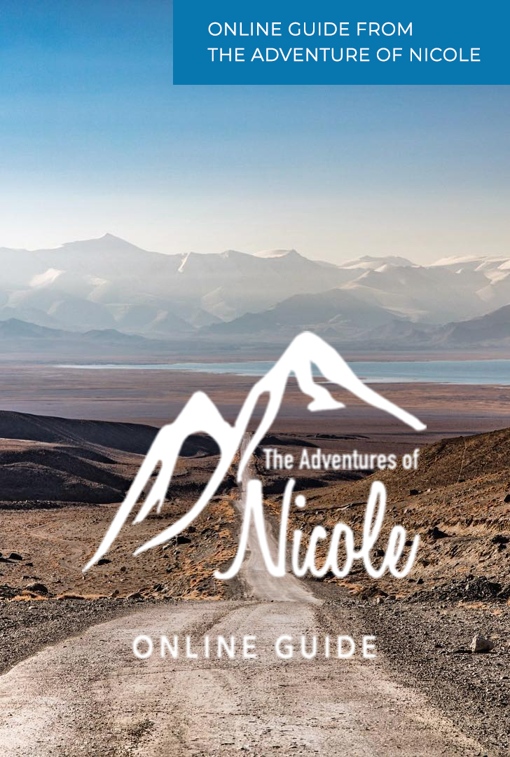 The Adventures of Nicole
