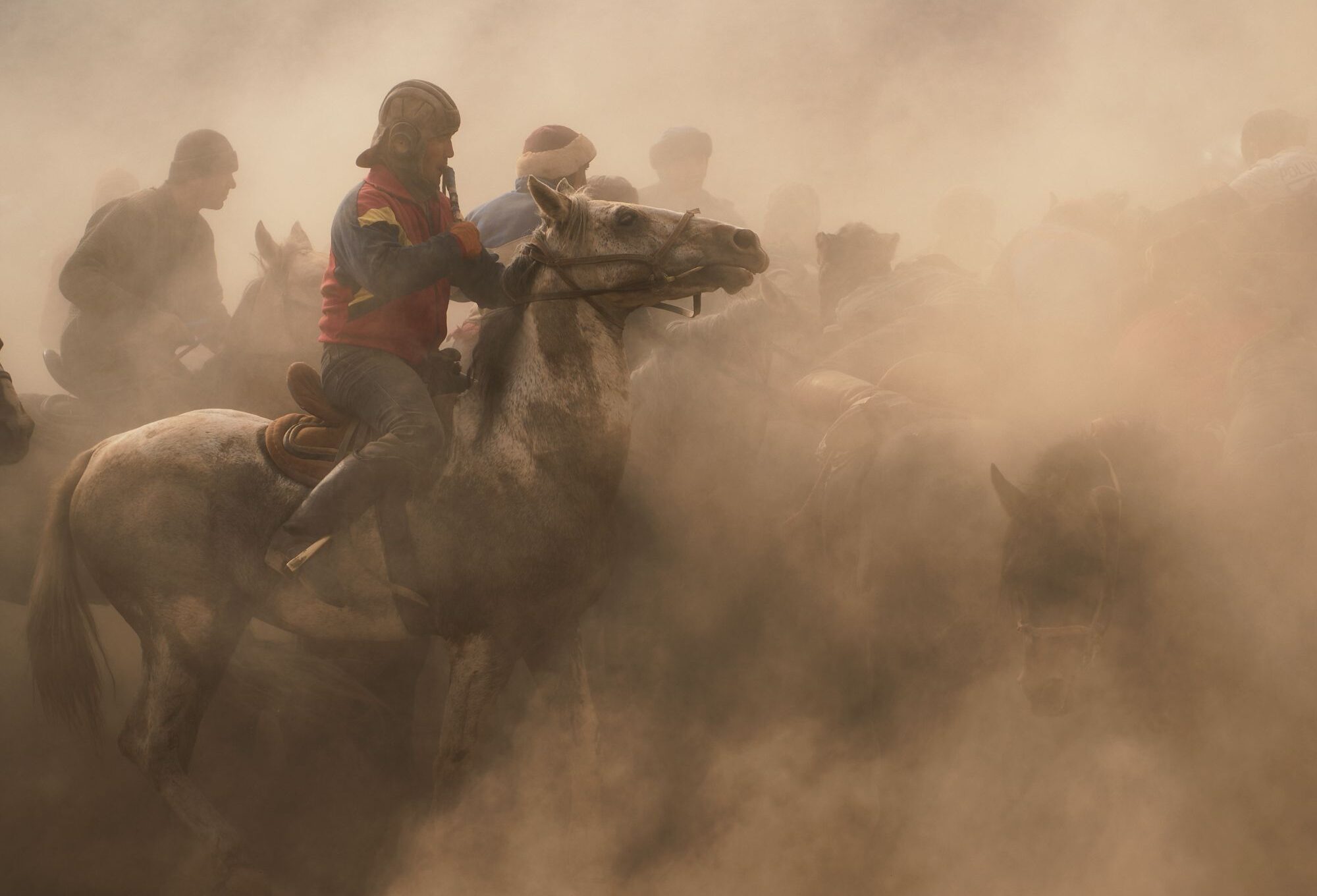 Close-up of buzkashi rider in red traditional jacket on gray horse during intense equestrian competition, with dust clouds and other players visible in background