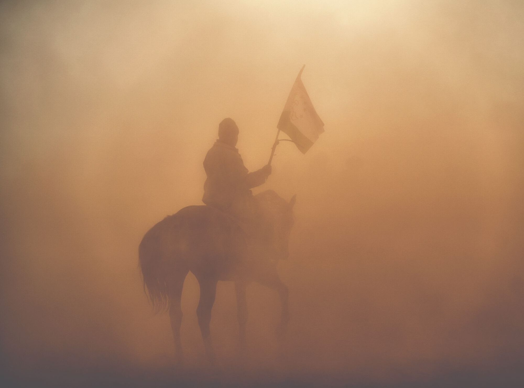 Silhouetted buzkashi rider on horseback holding Tajik flag through golden dust cloud during traditional equestrian competition